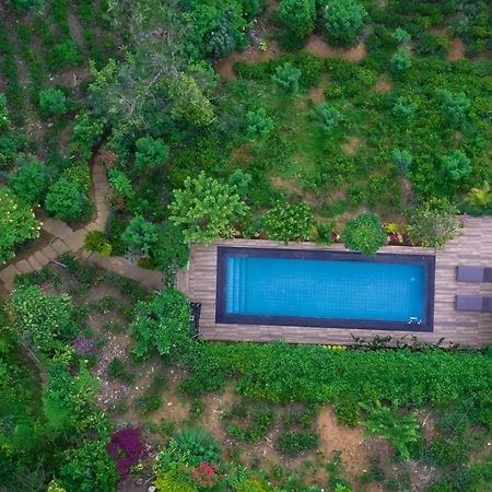 Tea Cabins เอลลา ภายนอก รูปภาพ