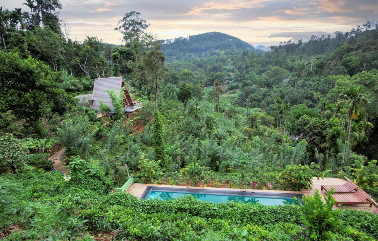 Tea Cabins เอลลา ภายนอก รูปภาพ