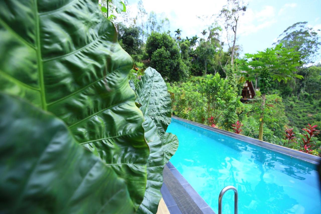 Tea Cabins เอลลา ภายนอก รูปภาพ